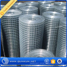 Construction Galvanized and PVC Coated Welded Wire Mesh